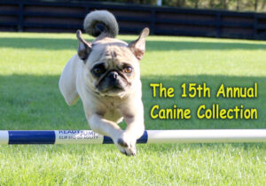 GGlenholme School 15th Annual Canine Collection