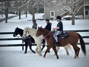Glenholme students take the horses for a walk in the snow, beautiful day!